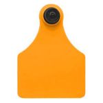Brinco-Laranja-Liso-Grande-Allflex