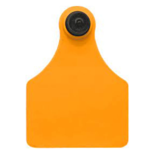 Brinco-Laranja-Liso-Grande-Allflex