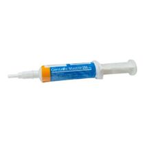 Antibiótico Gentatec Mastite 250mg Chemitec 10ml