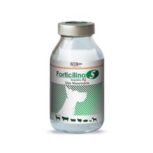 Antibiótico Forticilina "S" 4g Noxon 30ml