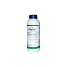 Fungicida Kasumin Basf 1L