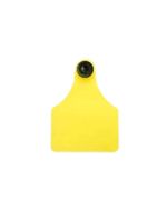 Conjunto-Brinco-Amarelo-BTM-SEF-Grande-Gravada-Allflex-250G