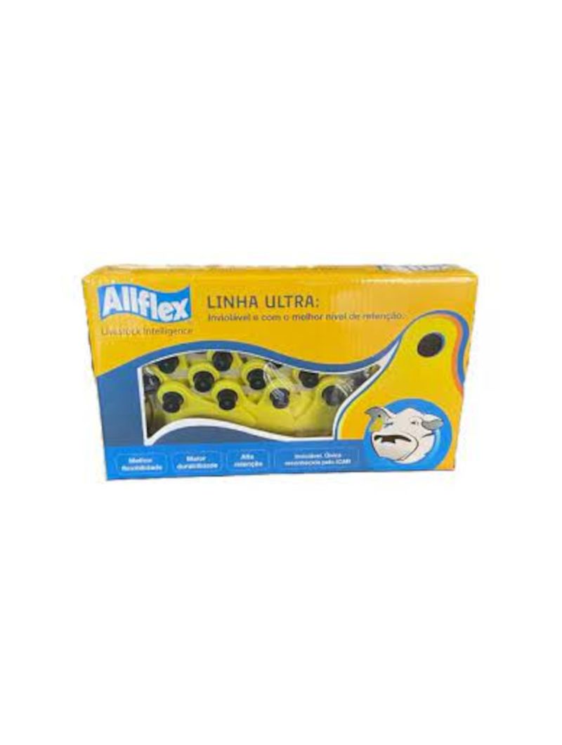 Conjunto-Brinco-Amarelo-BTM-SEF-Grande-Gravada-Allflex-250G
