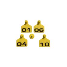 Brinco Bovino MP/FG Amarelo Grande Numerado Allflex 25 Conjuntos
