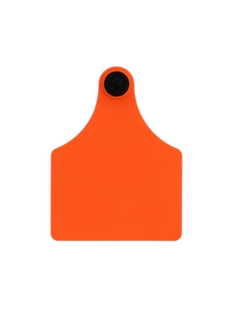Brinco-Bovino-Laranja-Liso-Medio-Allflex-25-Conjuntos
