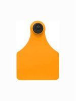 Brinco-P-Animal-MP-FG-Laranja-Liso-Grande-Allflex-25-Conjuntos