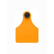 Brinco Bovino MP/FG Laranja Liso Grande Allflex 25 Conjuntos