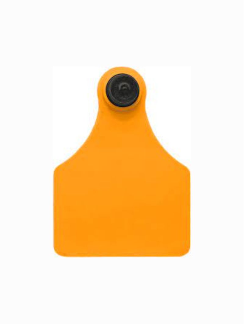 Brinco-P-Animal-MP-FG-Laranja-Liso-Grande-Allflex-25-Conjuntos