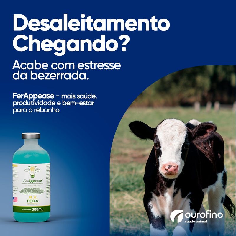 ferappease-bezerro