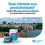fosbion-otimiza-seus-resultados