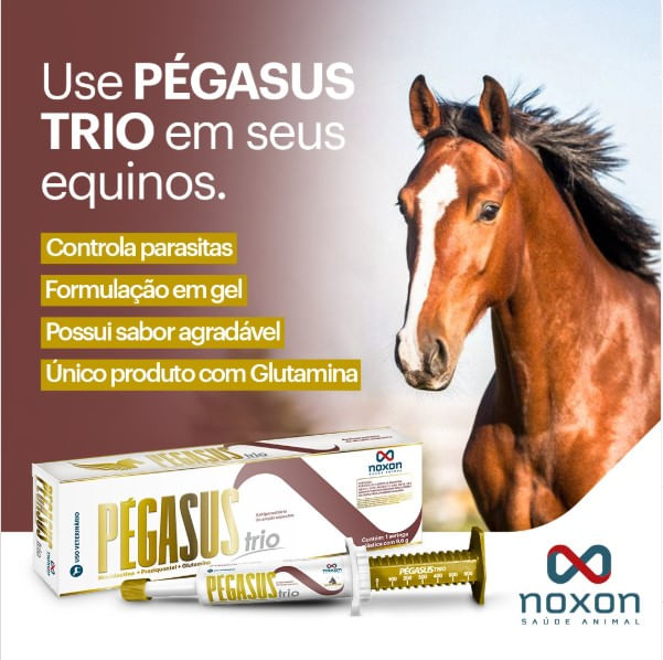 pegasus-trio-gel-para-equinos-com-glutamina