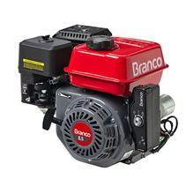 Motor B4T 6.5CV H