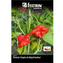 Semente Pimenta Chap de Bispo Cambuci Golden