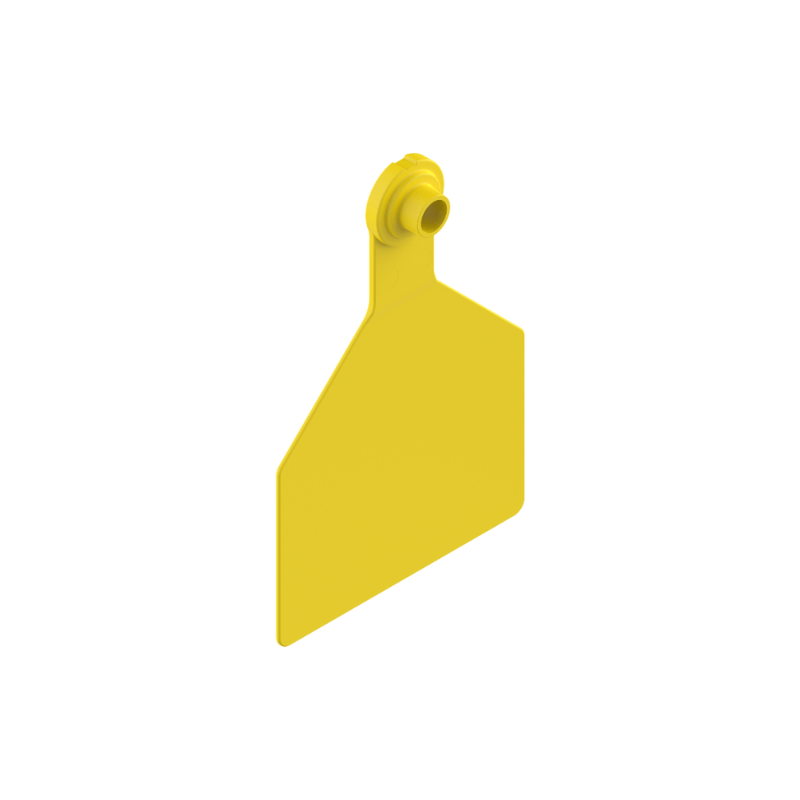 F413R Lateral.png