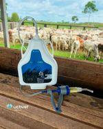 supratick-mosquicida-e-carrapaticida-pour-on-compre-e-ganhe