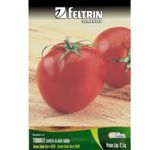 Semente Tomate Santa Clara 5.800 Golden.jpg
