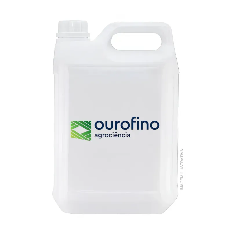 gal_o_ouro_fino_44.webp