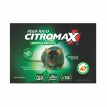 Raticida Pega Rato Ratoeira Adesiva Citromax