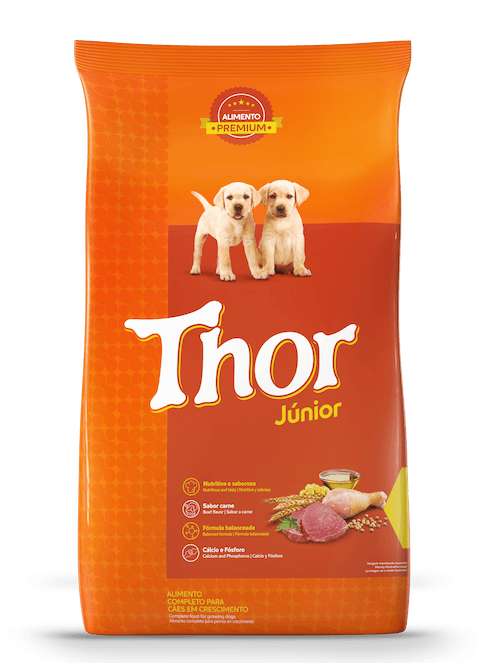 thor-jnior-16