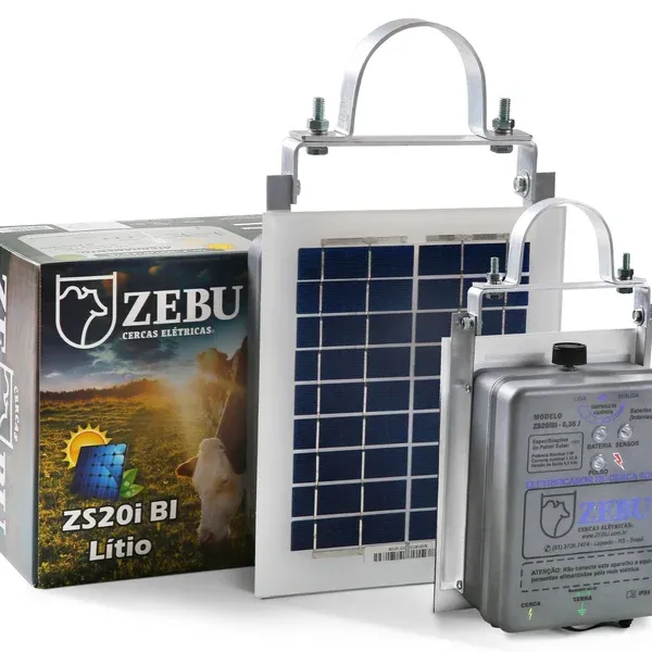 zebuzs20ibi