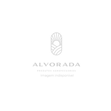 Almofada Numero 4 - Tatuadeira P18.5x9