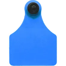 Brinco de Identificação MP/FO Azul Allflex